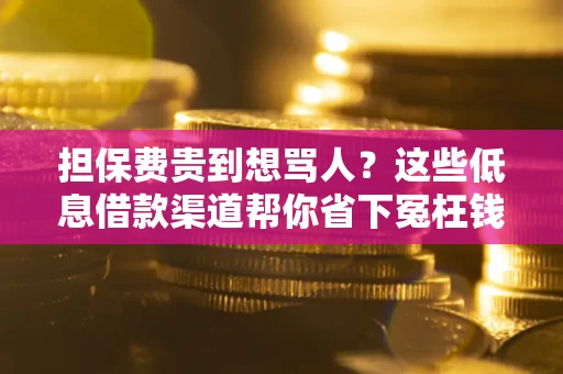 北京担保费贵到想骂人？这些低息借款渠道帮你省下冤枉钱