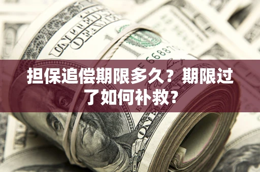 北京担保追偿期限多久？期限过了如何补救？