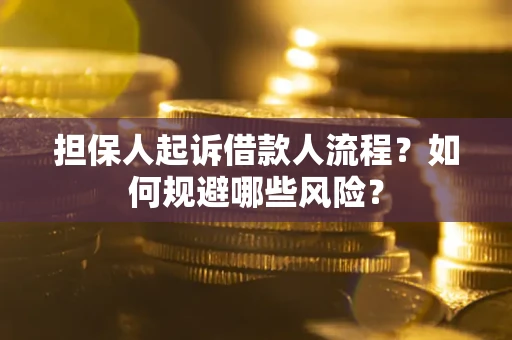 北京担保人起诉借款人流程？如何规避哪些风险？