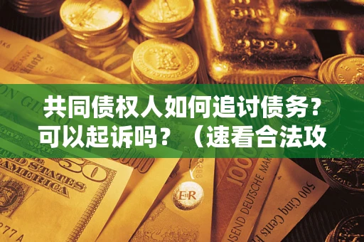 北京共同债权人如何追讨债务？可以起诉吗？（速看合法攻略）