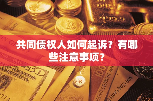 北京共同债权人如何起诉？有哪些注意事项？